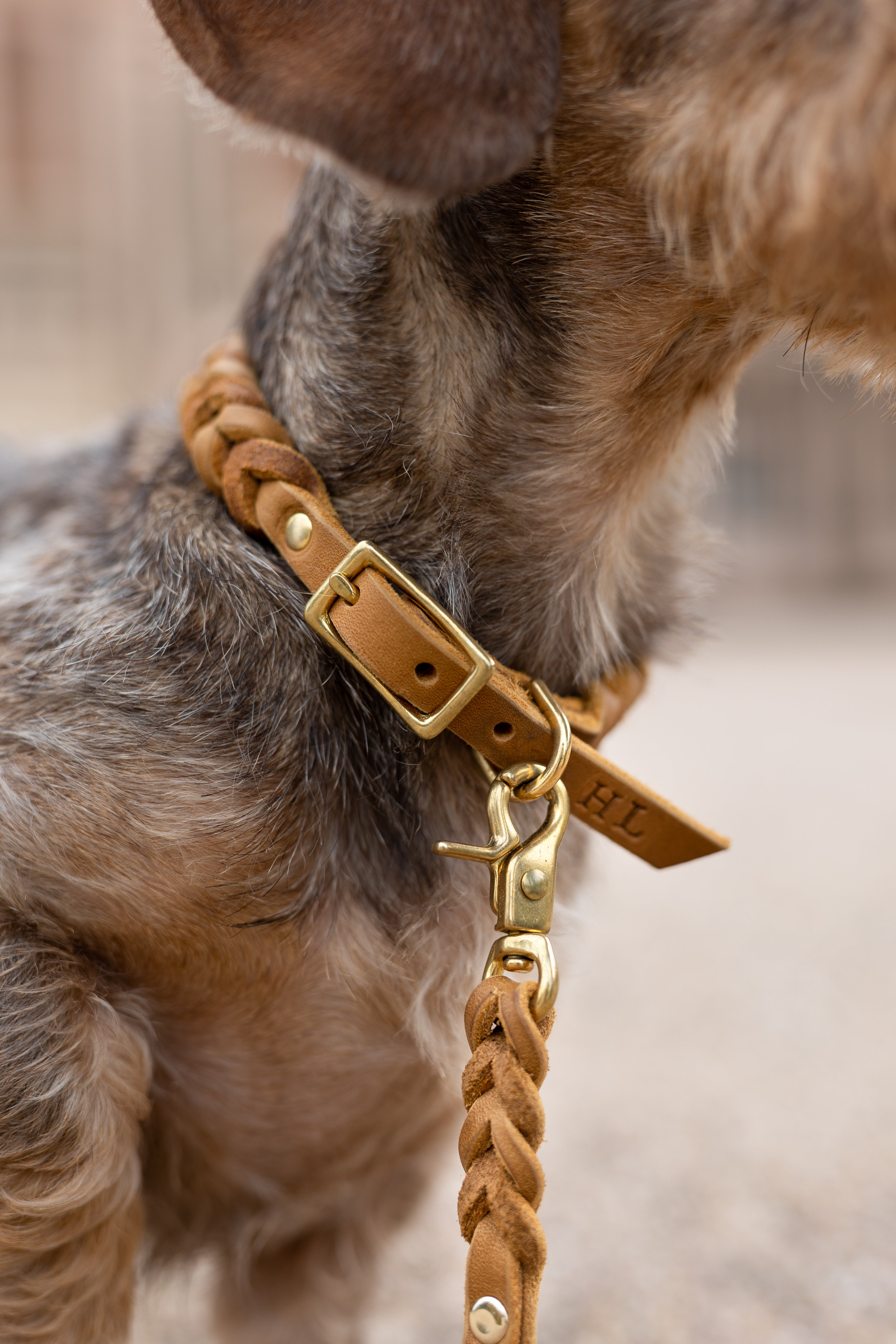 Geflochtenes Hundehalsband Oskar - Happy Leash