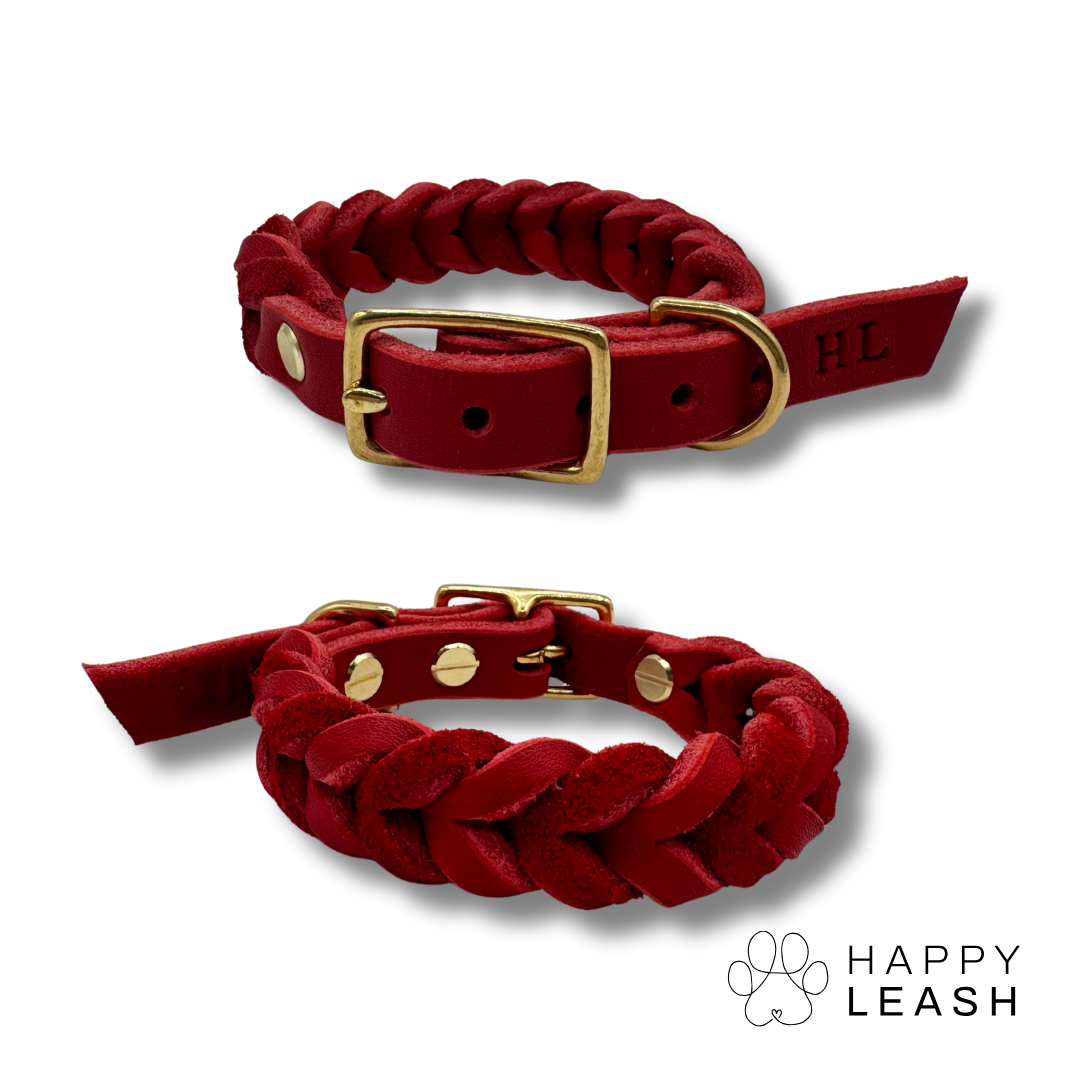 Geflochtenes Hundehalsband Oskar - Happy Leash