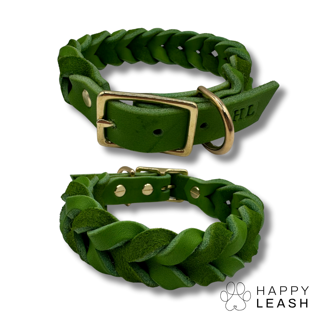 Geflochtenes Hundehalsband Willi - Happy Leash